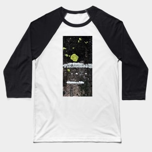 Lichens on a Tree Bark Baseball T-Shirt